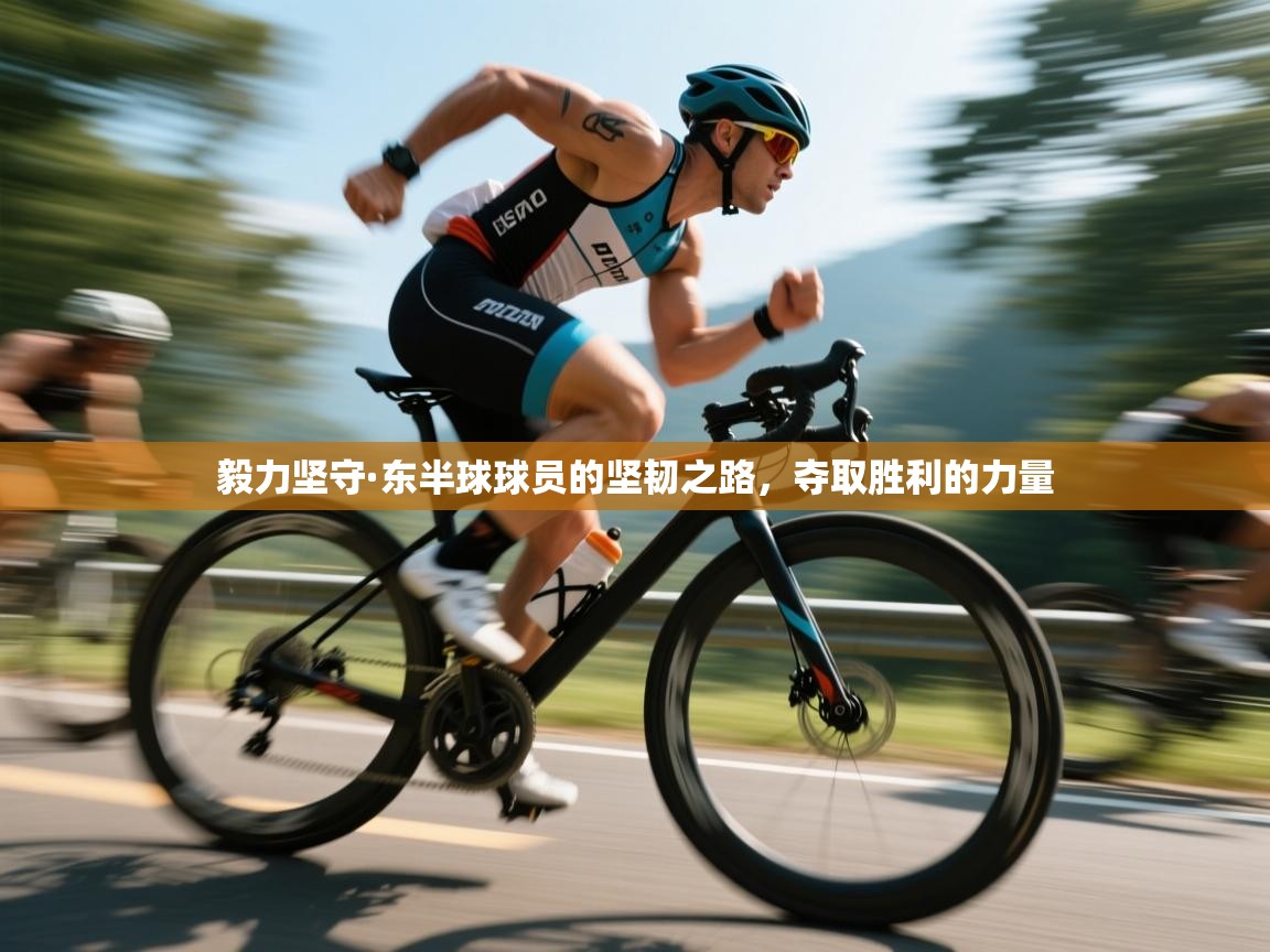 毅力坚守·东半球球员的坚韧之路，夺取胜利的力量  第1张