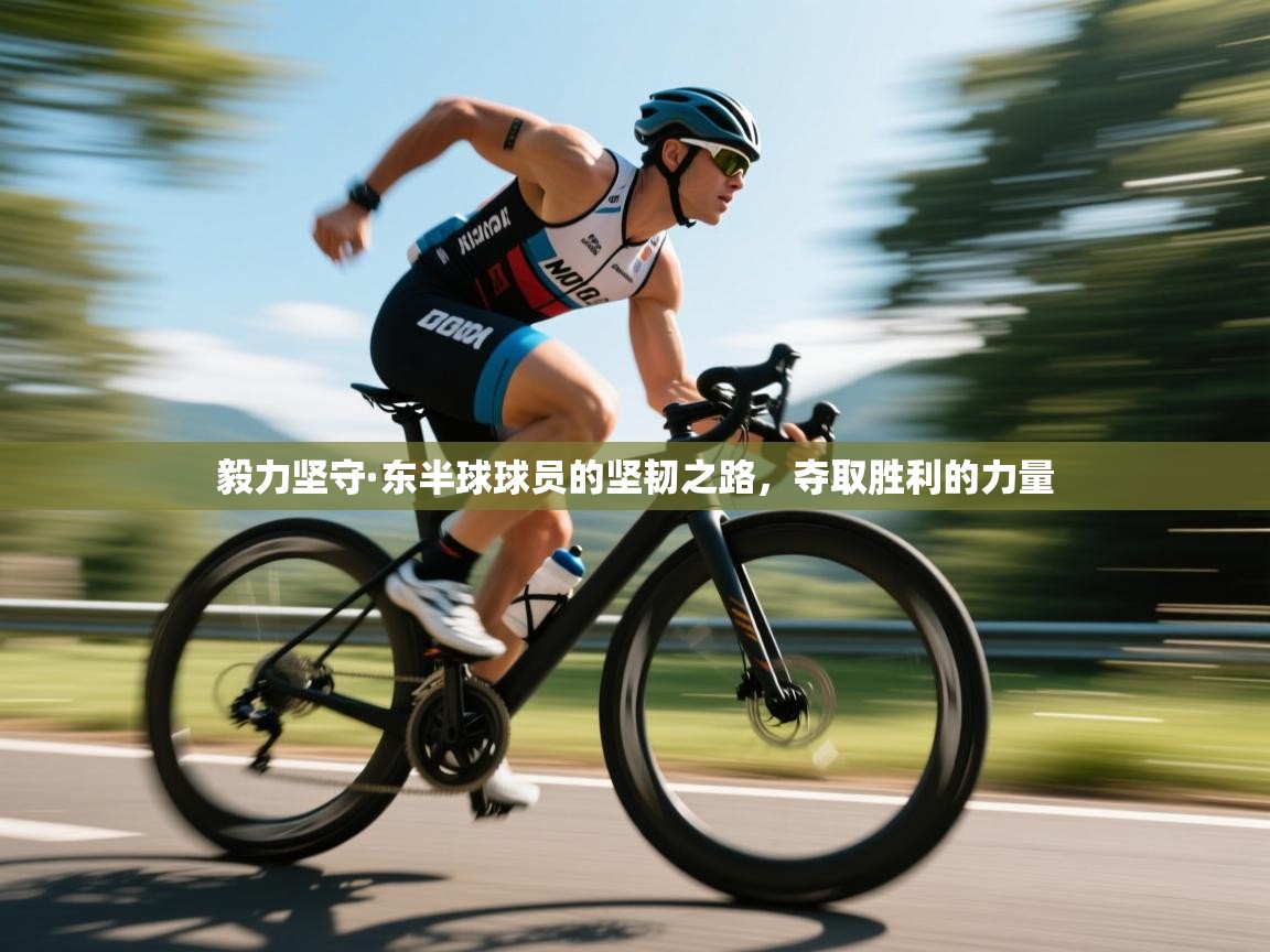 毅力坚守·东半球球员的坚韧之路，夺取胜利的力量  第2张