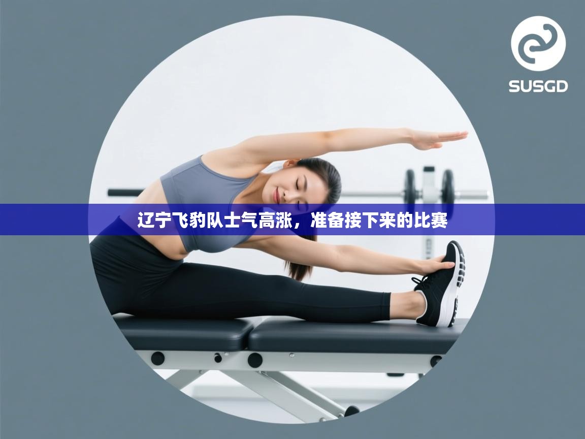 辽宁飞豹队士气高涨，准备接下来的比赛  第1张